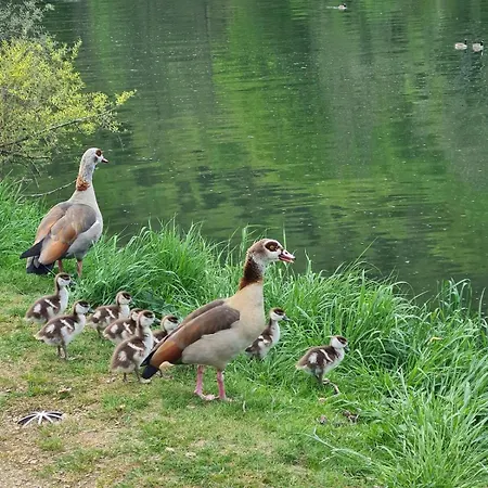 Maison Espagnole Du Xvième Siècle Casa vacanze